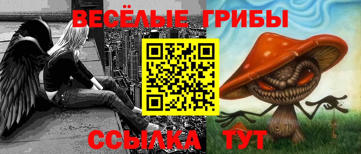 Галлюциногенные грибы Psilocybe  Галлюциногенные грибы Psilocybe  Новоалександровск  Вход с VPN 